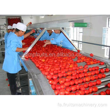 دستگاه پردازش خمیر گوجه فرنگی سفارشی